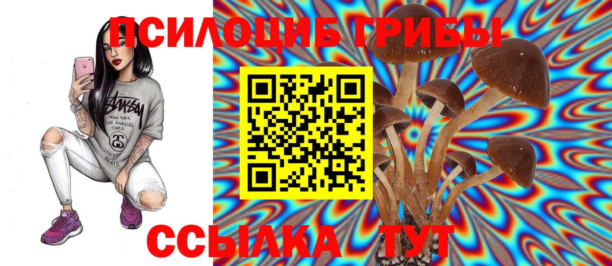 Галлюциногенные грибы мухоморы  что такое наркотик  Вход с VPN  Гурьевск  Псилоцибиновые грибы ЛСД 
