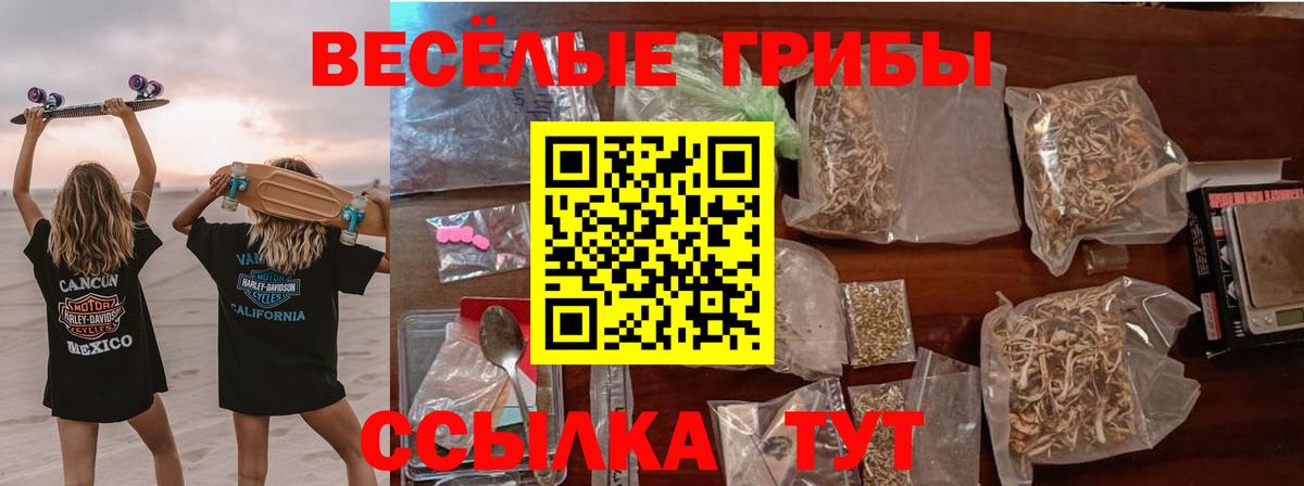 Псилоцибиновые грибы GOLDEN TEACHER Гурьевск